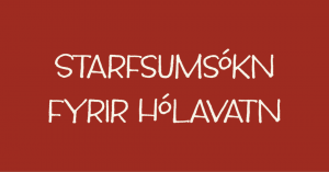 Starfsumsókn fyrir Hólavatn